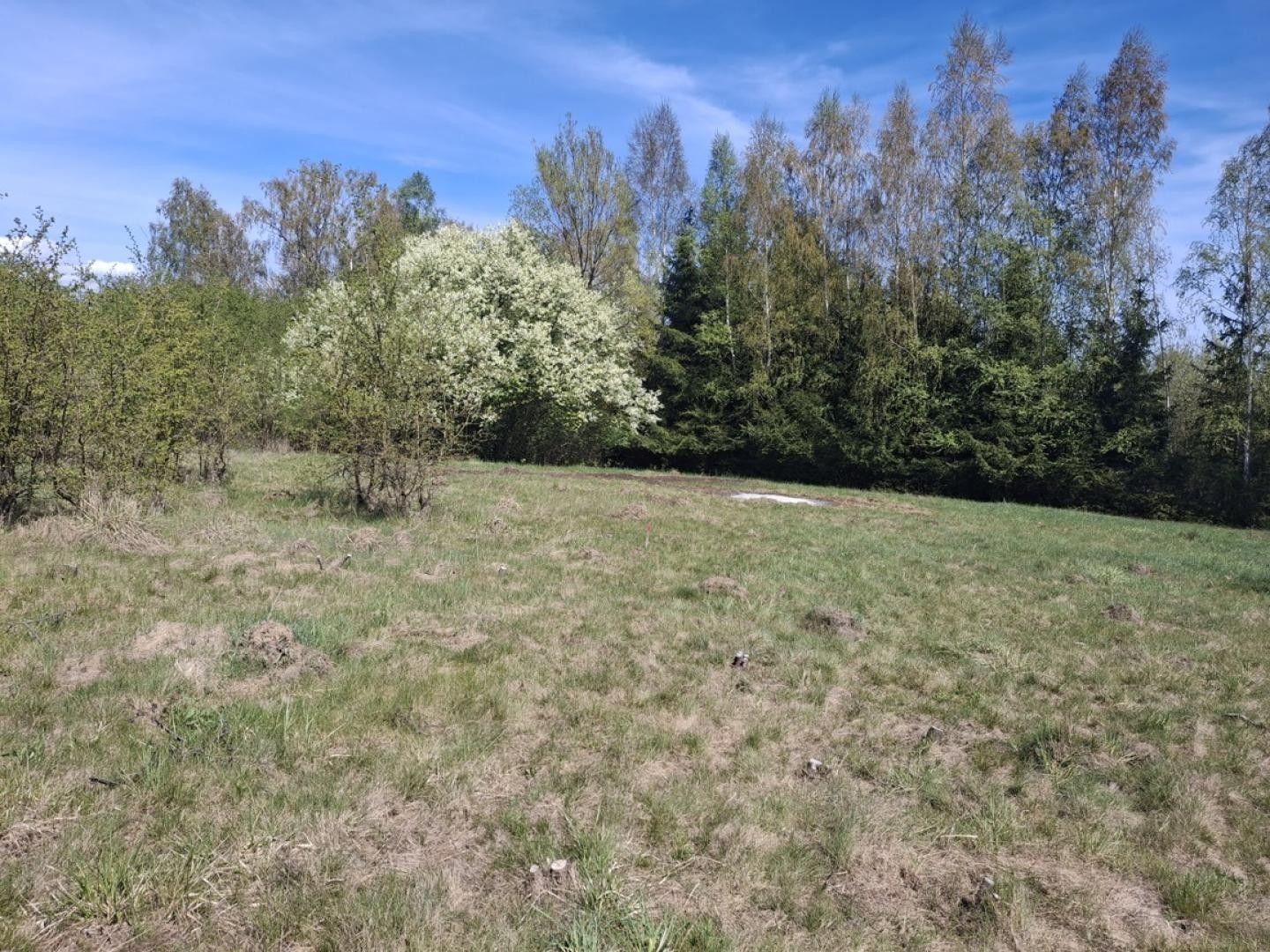 Pozemek pro bydlení, 517 m²