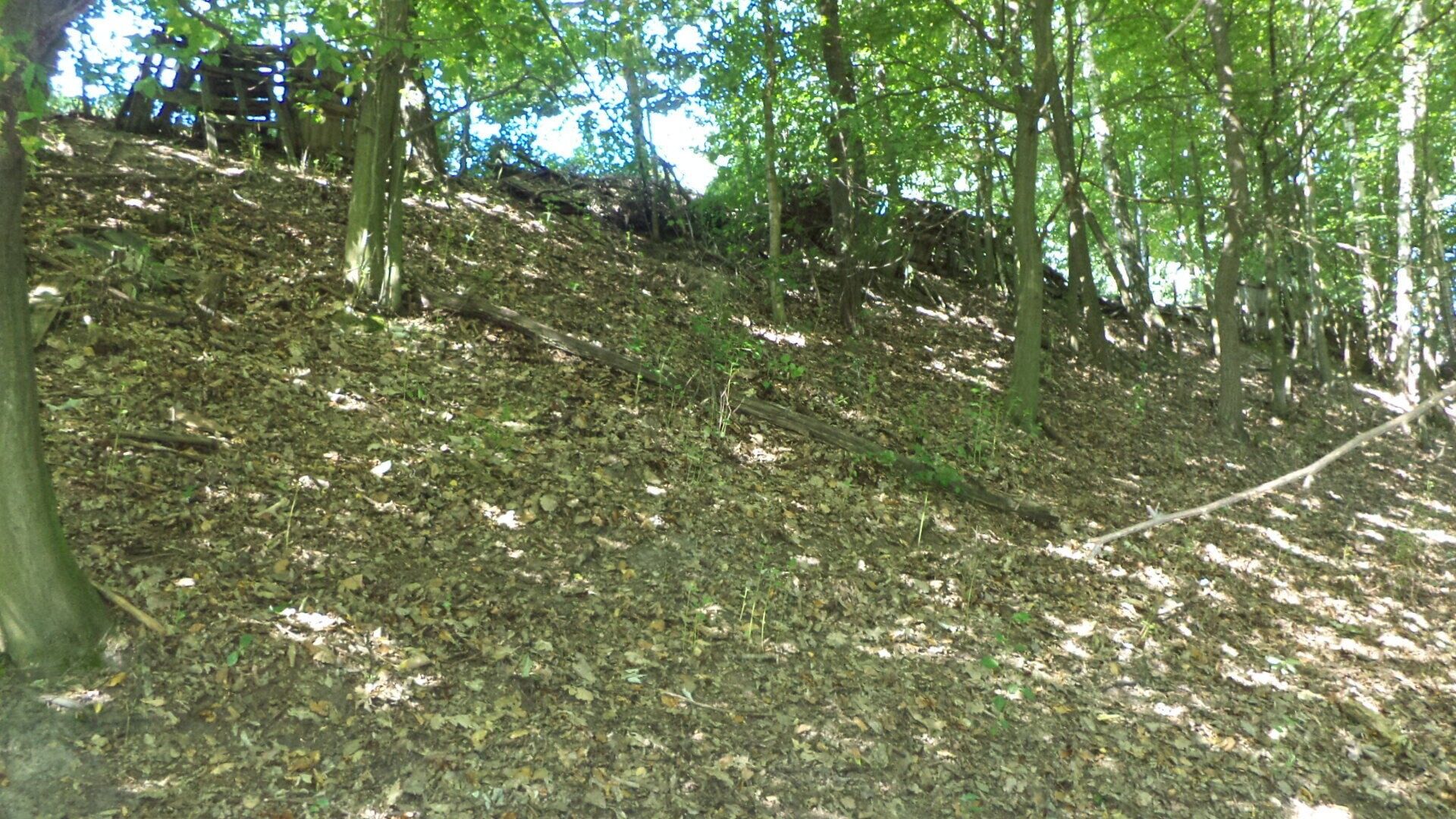 Ostatní, Děčín, 675 m² - 2