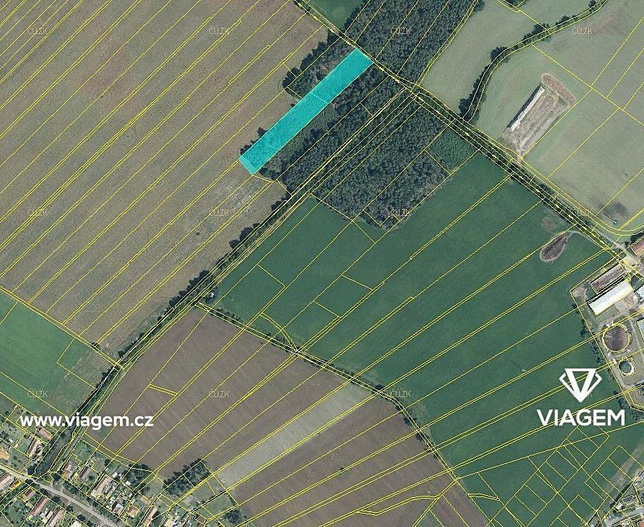 Prodej les - Živanice, okres Pardubice, Pardubický kraj - 2