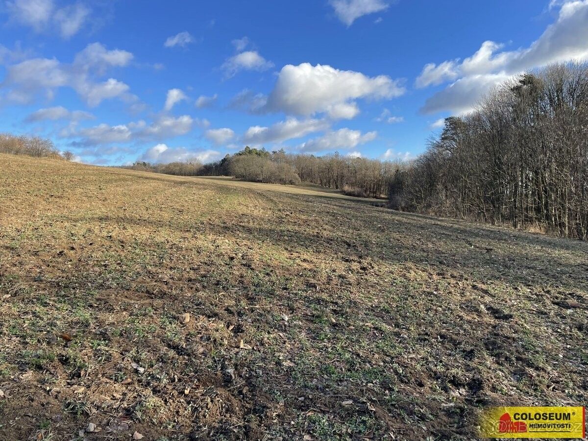 Zahrady, Blansko, 678 01