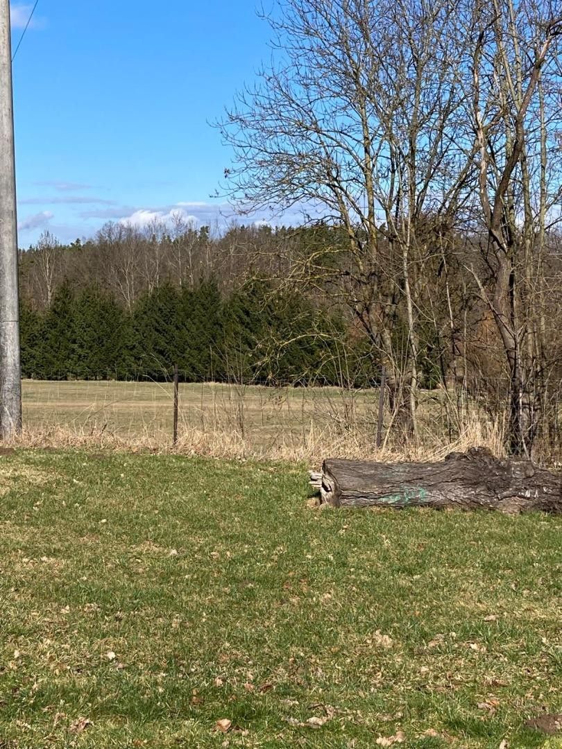 Prodej pozemek pro bydlení - Jindřichovice, Blatná