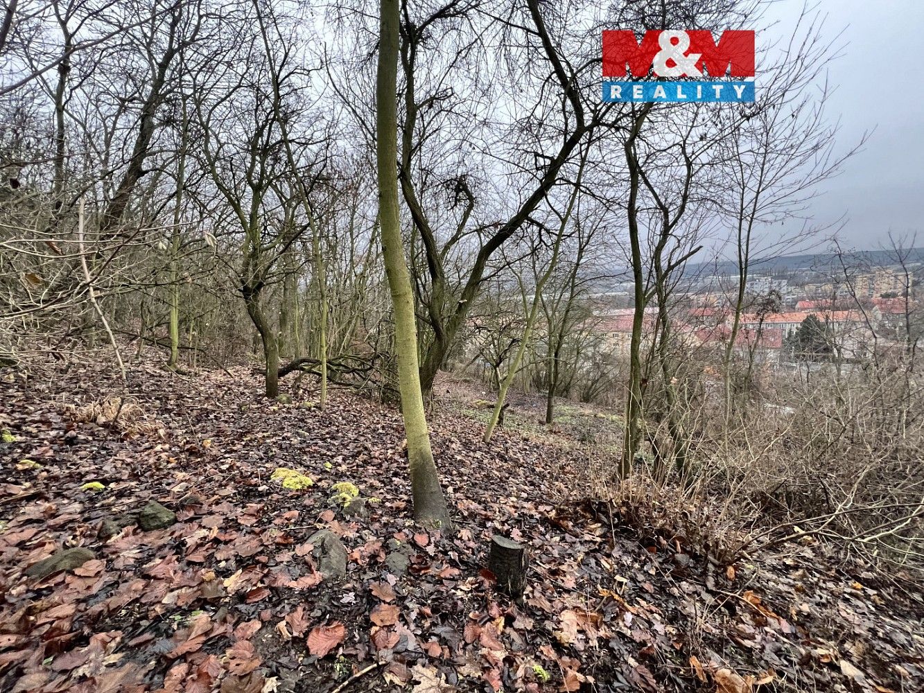 Pozemek pro bydlení, 1 101 m²