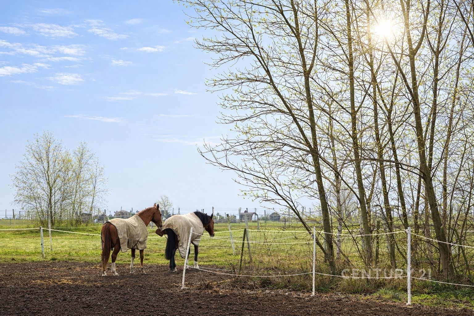 Pozemky pro bydlení, Trnová