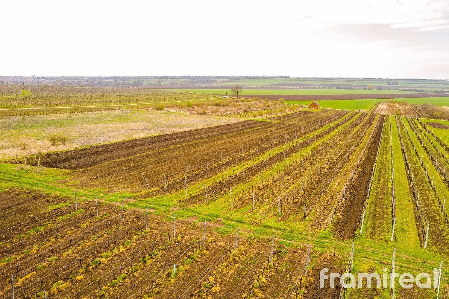 Pozemek pro bydlení, 3 646 m²