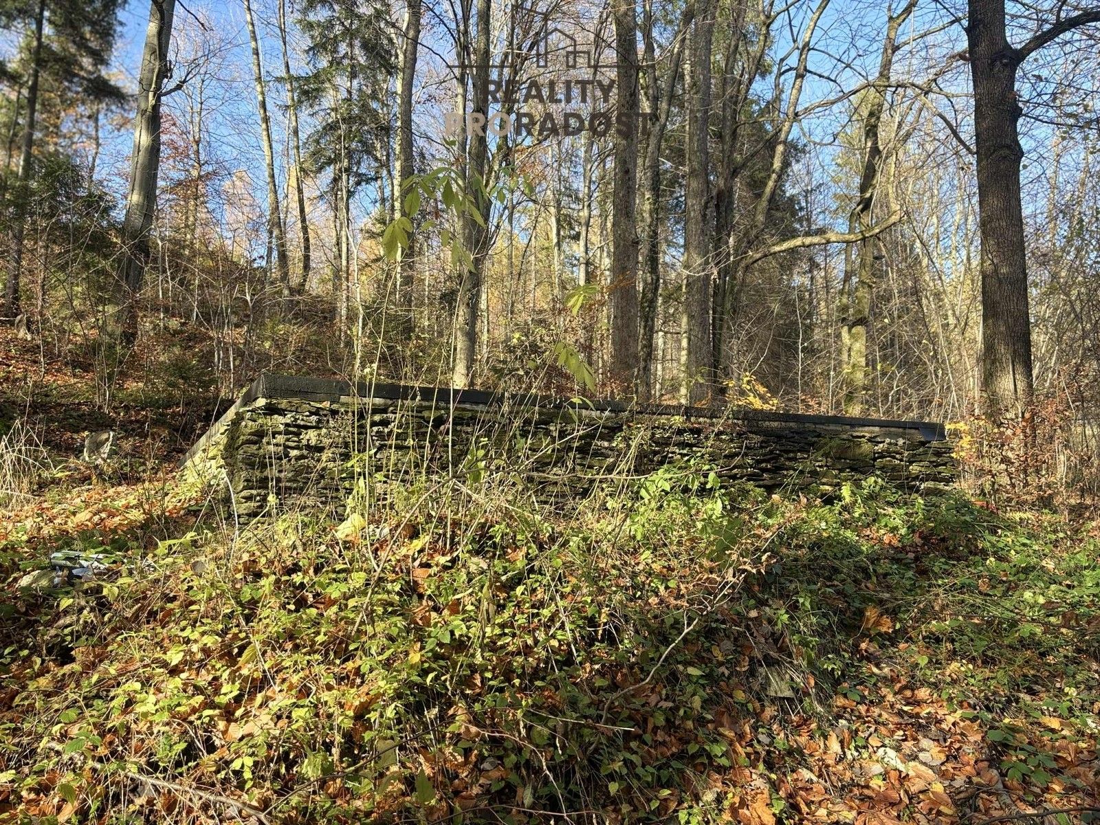 Prodej chata - Petrovice, 43 m²