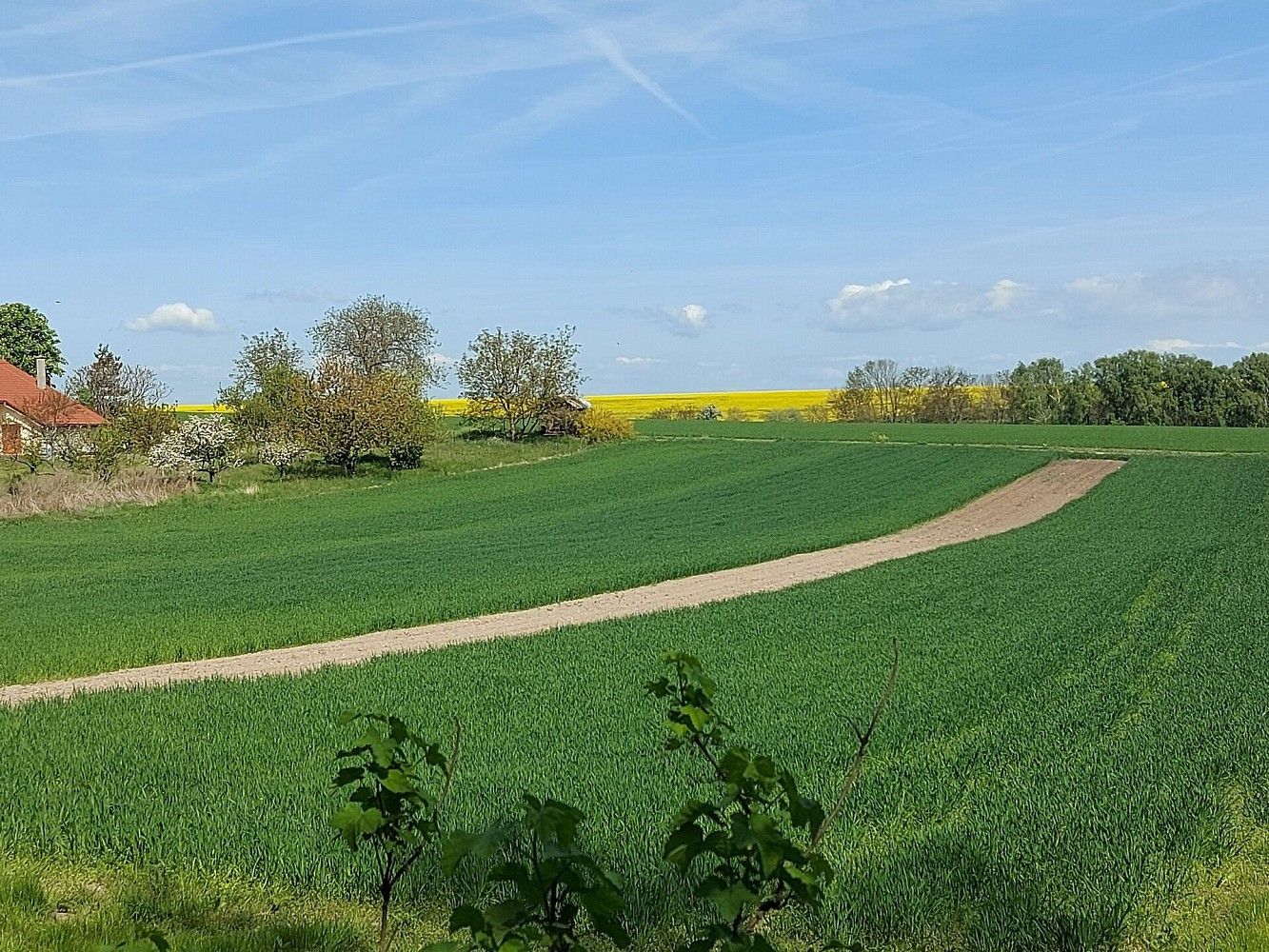 Pozemek pro bydlení, 1 532 m²
