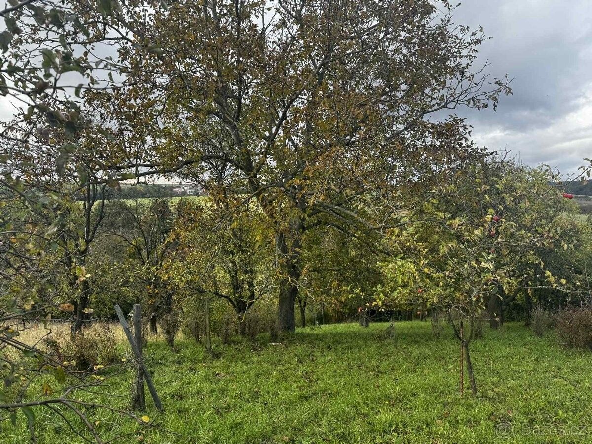 Prodej zahrada - Soběchleby, 753 54