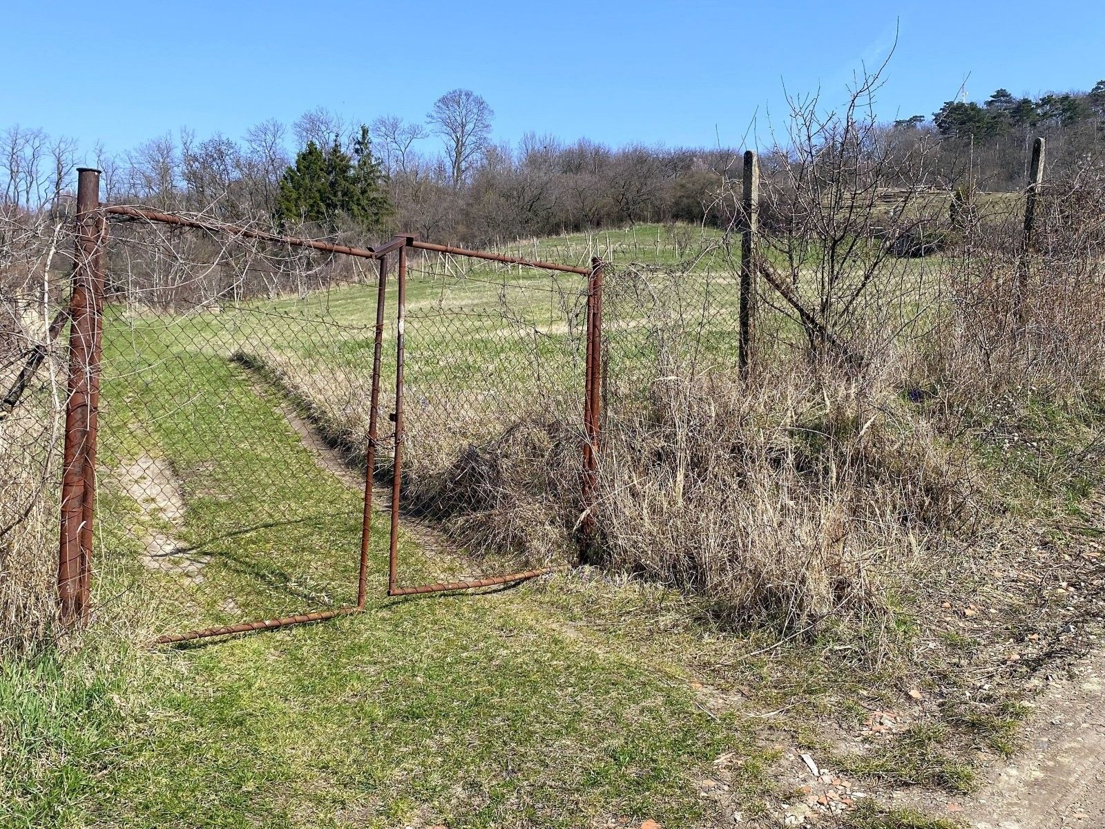 Zahrada · 1 043 m² · Nová 1, Mikulov - 4