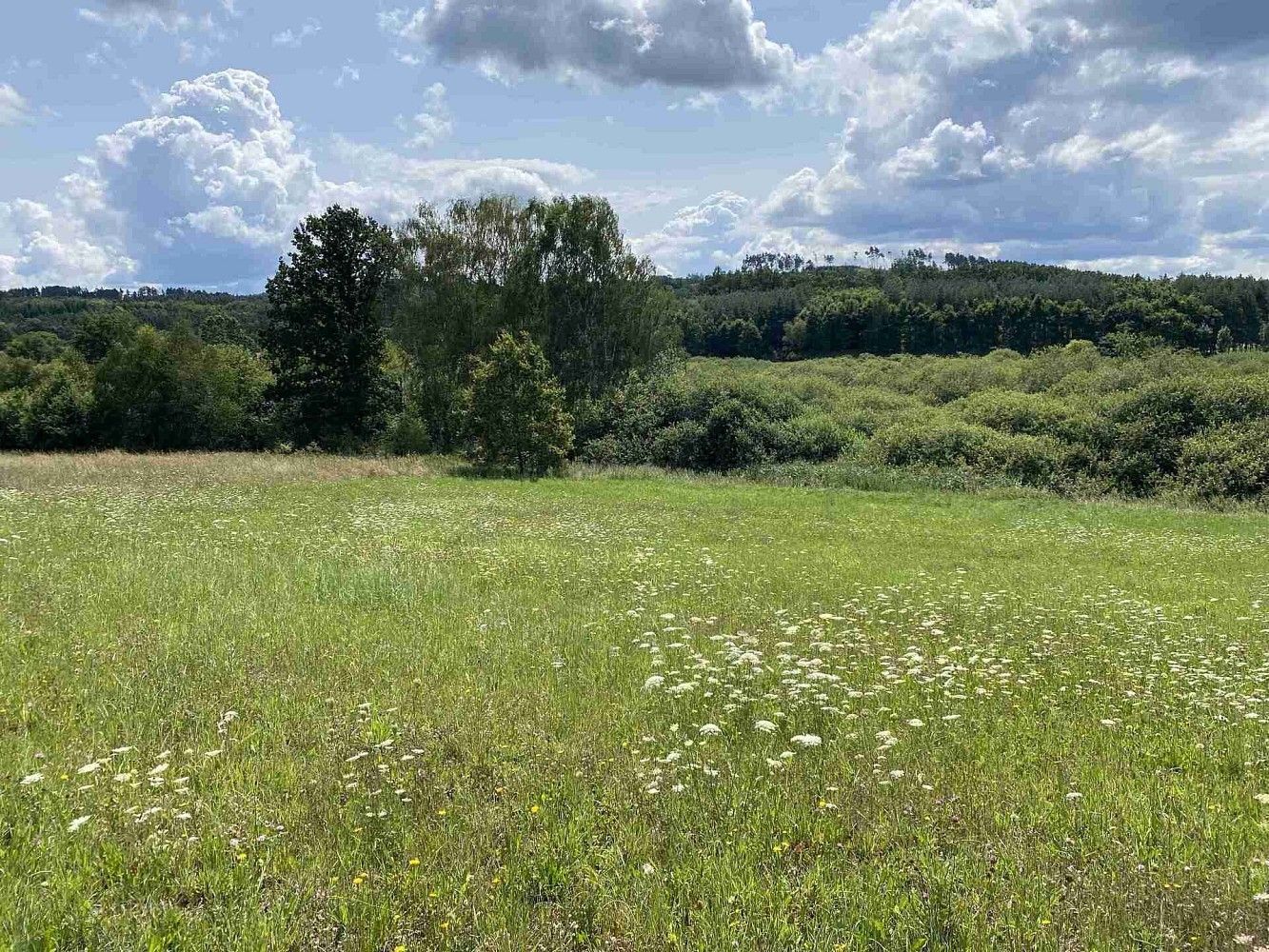Zemědělský pozemek · Lhenice - Hrbov, okres Prachatice, Jihočeský kraj - 4