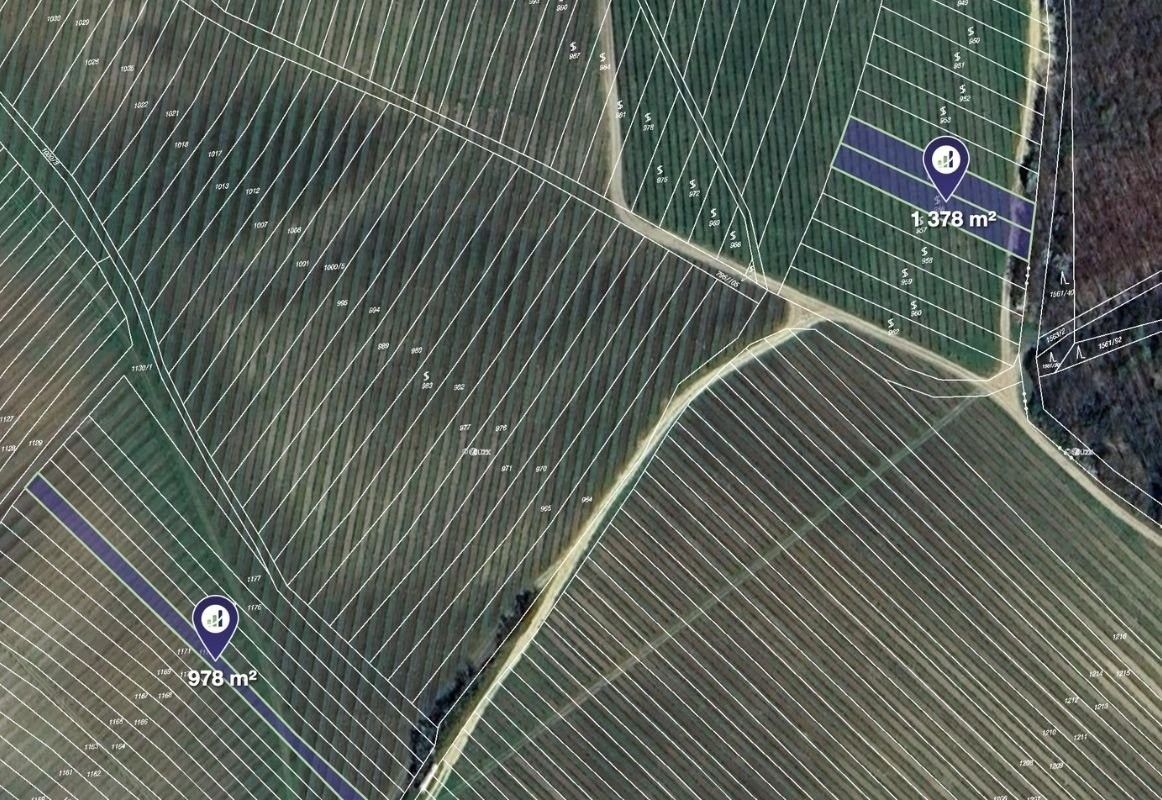 Prodej pozemek - Nechvalín, 8 393 m²