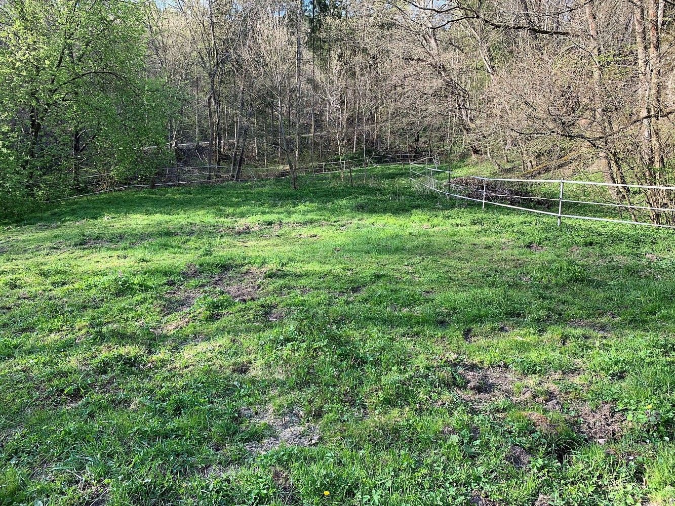 Prodej louka - Malé Kyšice, okres Kladno, Středočeský kraj - 2