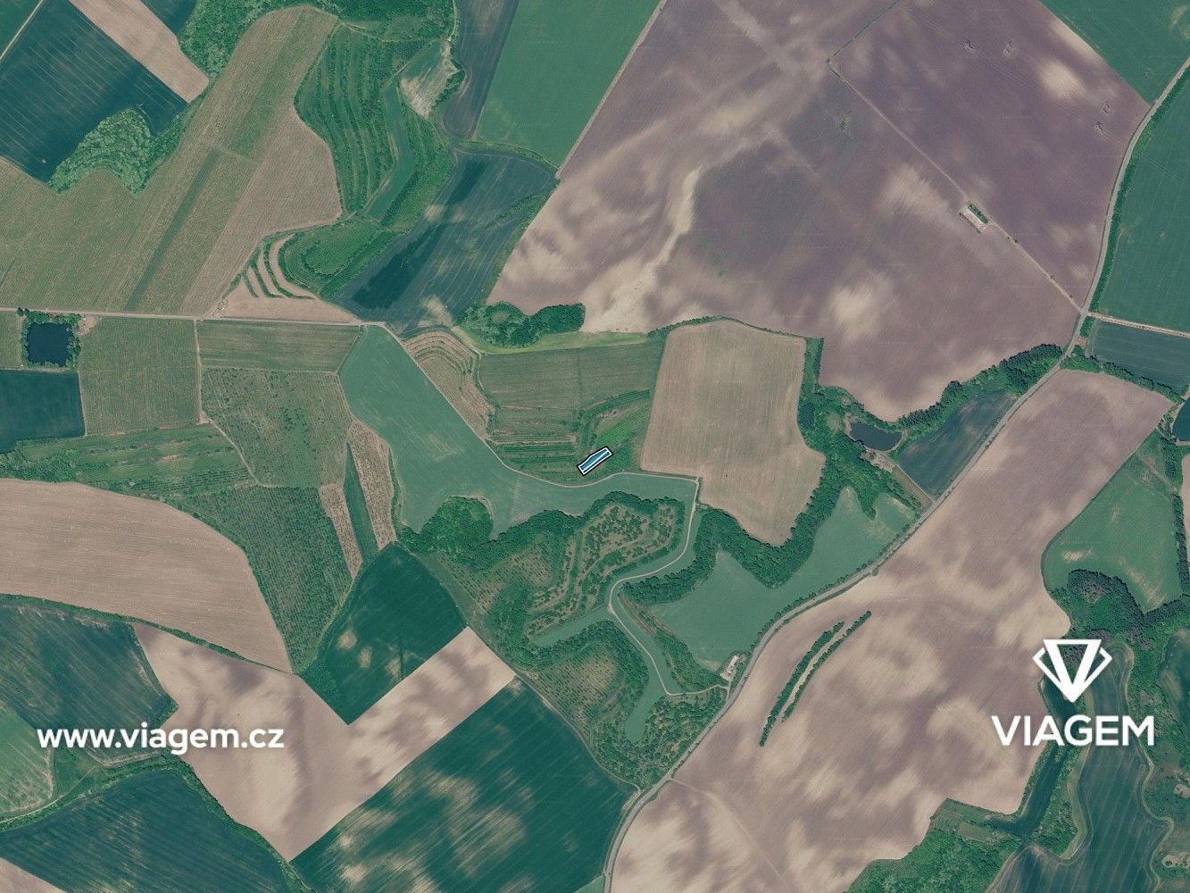 Zahrada · Kobylí, okres Břeclav, Jihomoravský kraj - 3