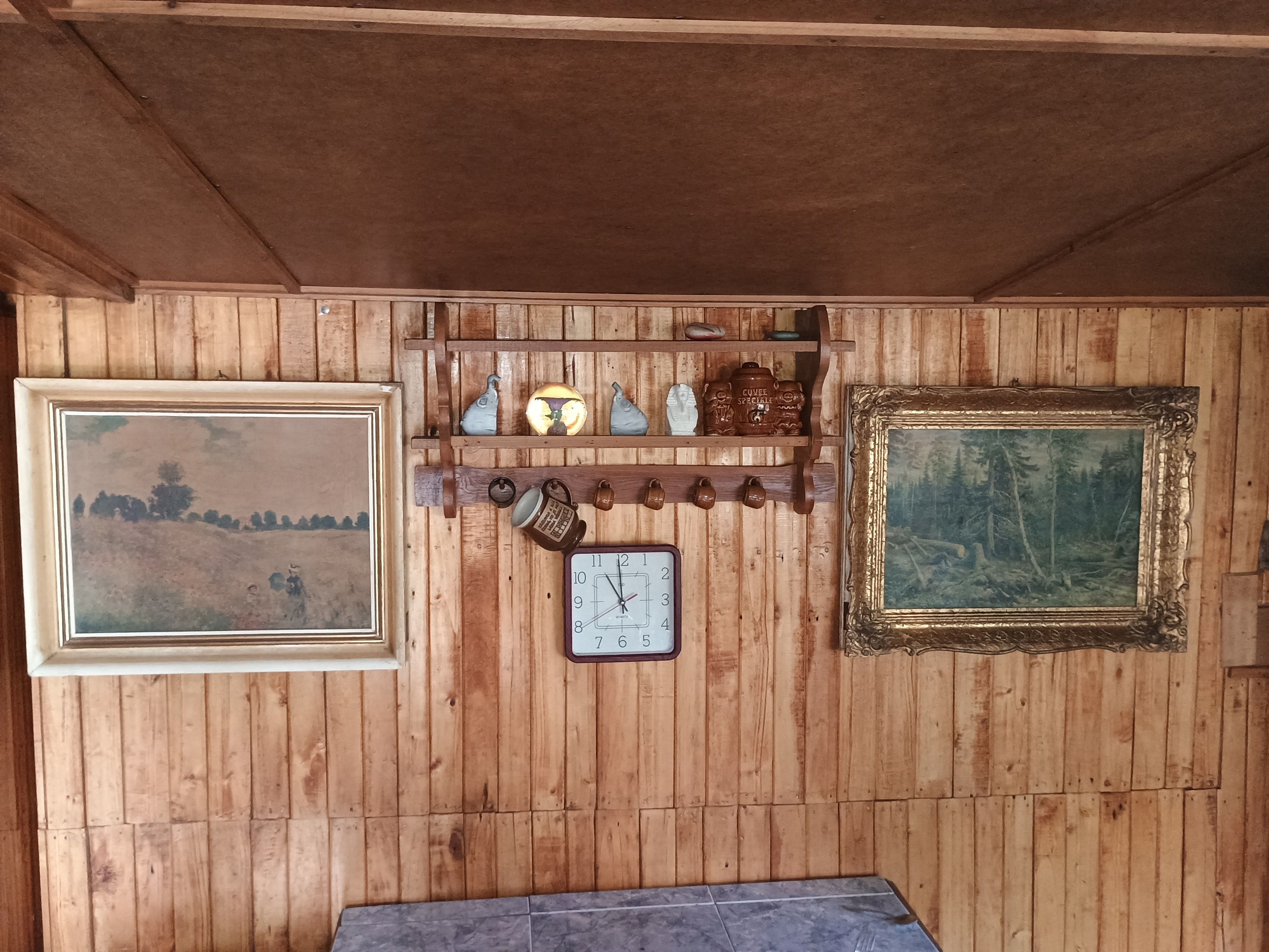Prodej chata - Rekreační , Ostrava, 25 m² - 5