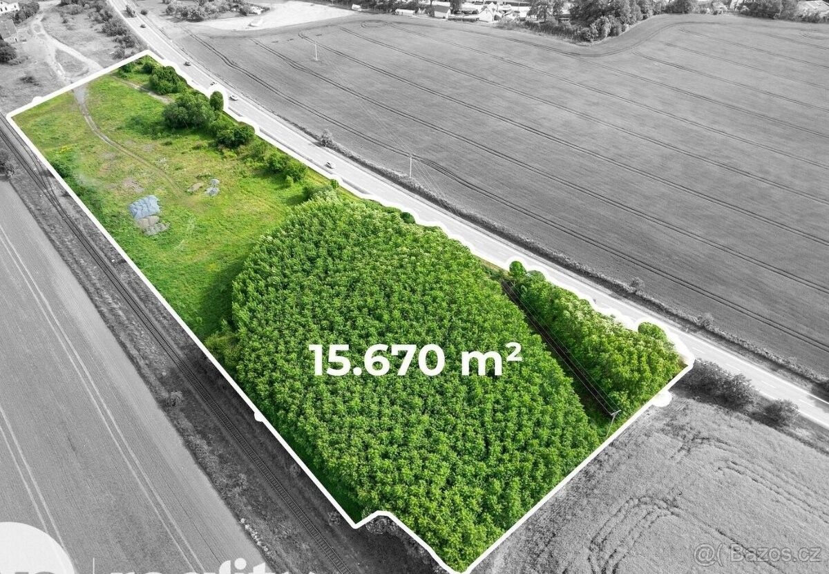 Zahrady, Město Albrechtice, 793 95