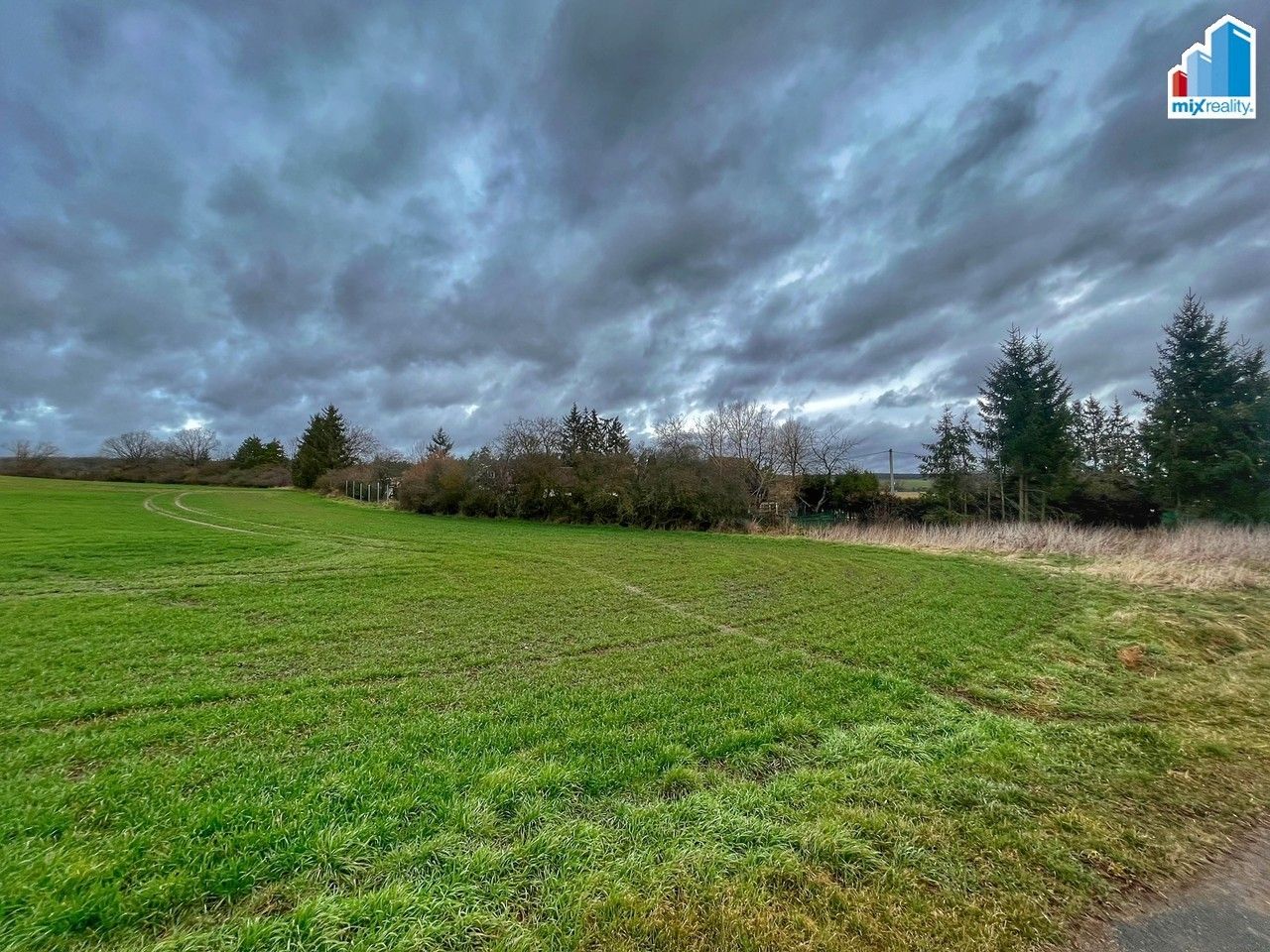 Prodej zemědělský pozemek - Březová, Heřmanova Huť, 32 493 m²