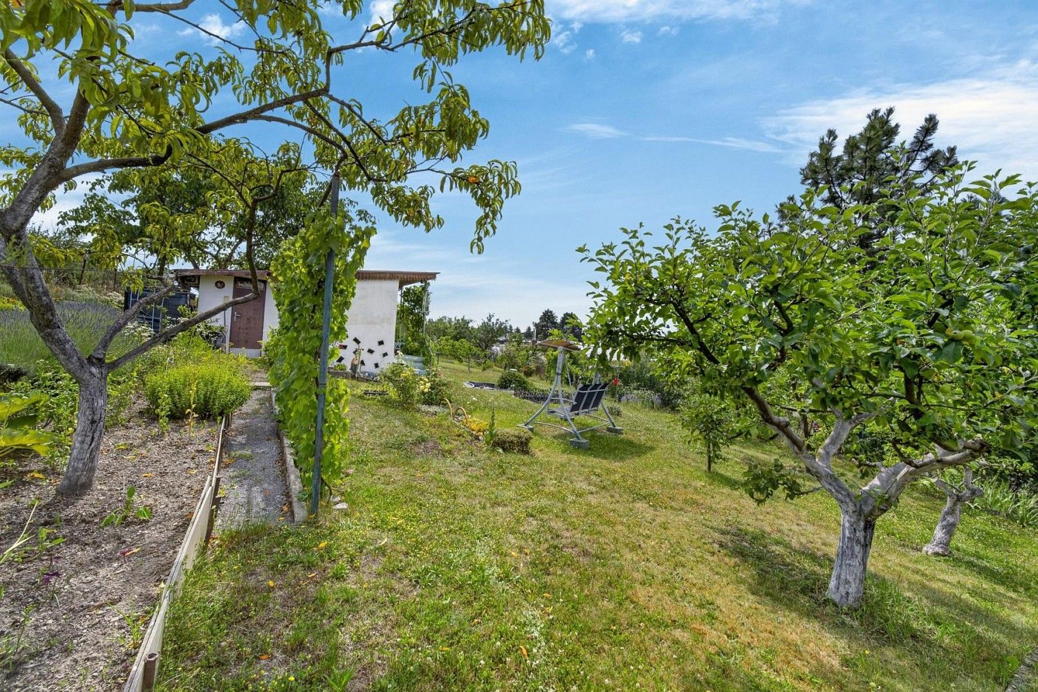 Prodej zahrada - Sluneční, Plzeň - Lobzy - 5