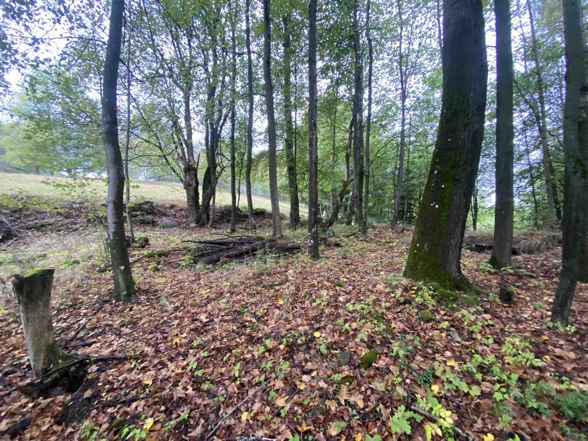 Prodej pozemek pro bydlení - Benešov nad Černou Kuří, 3 849 m² - 5