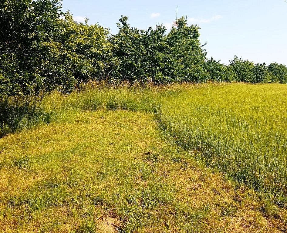 Rodinné domy, Šumvald, okres Olomouc, 140 m² - 2