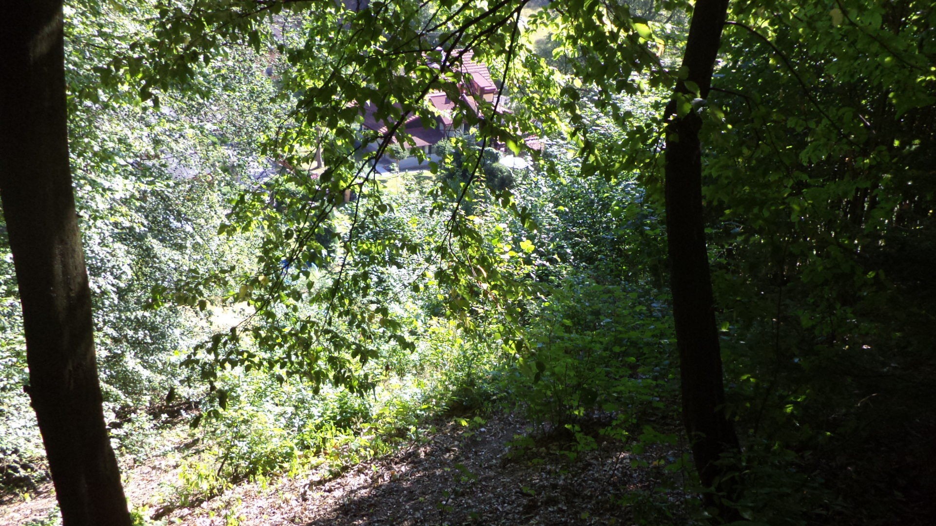 Louka · 675 m² · Děčín - 3