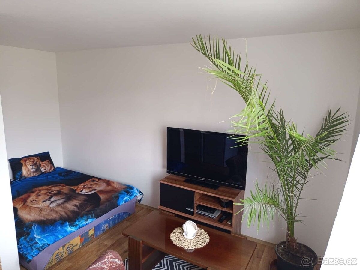 Pronájem byt - Vrchotovy Janovice, 257 53