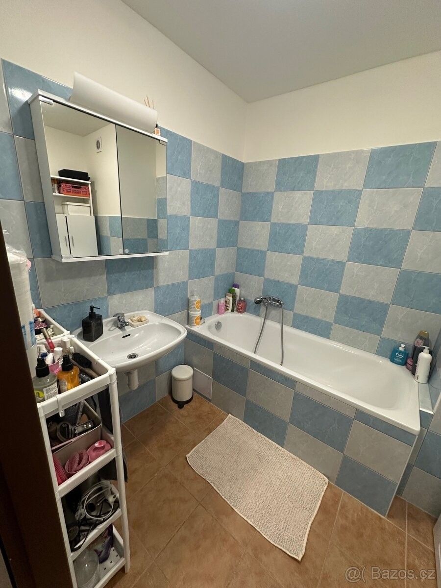 Pronájem byt - Praha, 100 00