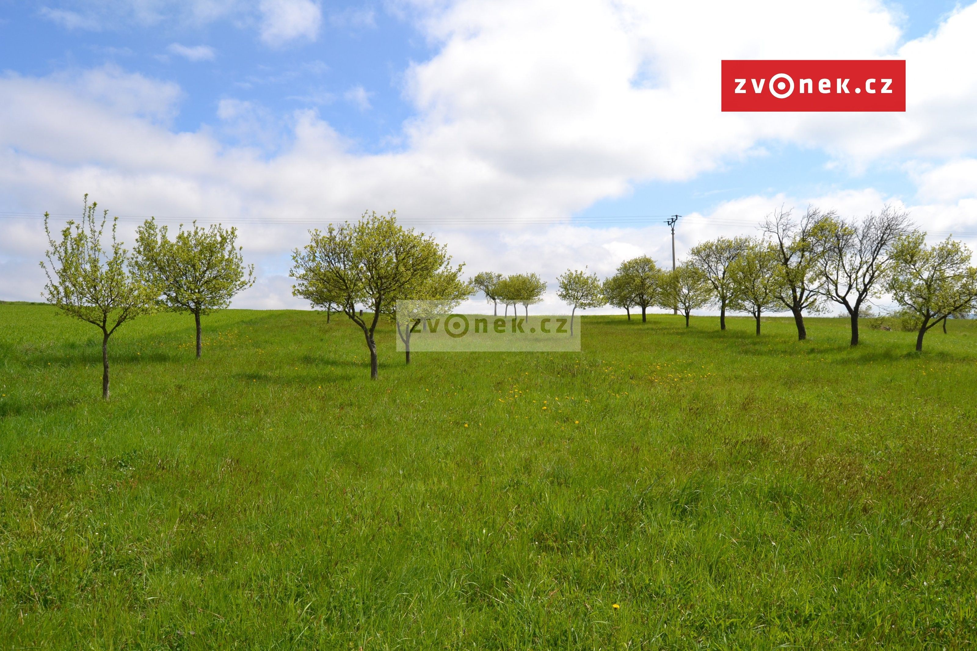 Prodej zemědělský pozemek - Lačnov, 3 862 m²