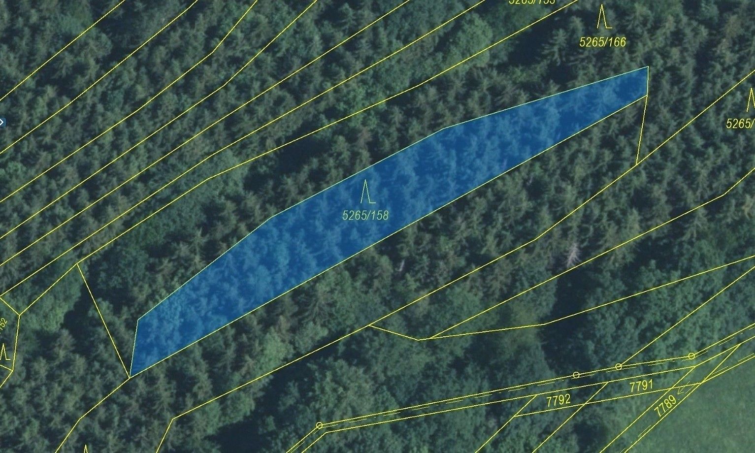 Lesy, Strání, okres Uherské Hradiště, Zlínský kraj - 2