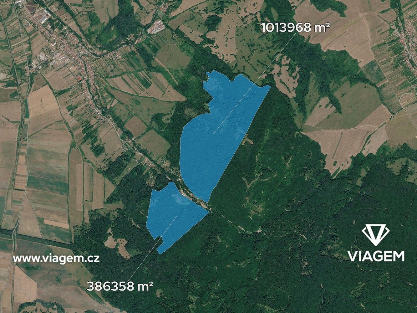 Les · Javorník, okres Hodonín, Jihomoravský kraj - 2