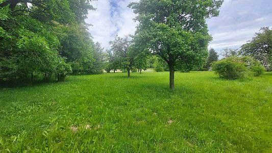 Prodej pozemek pro bydlení - Divec, 500 03