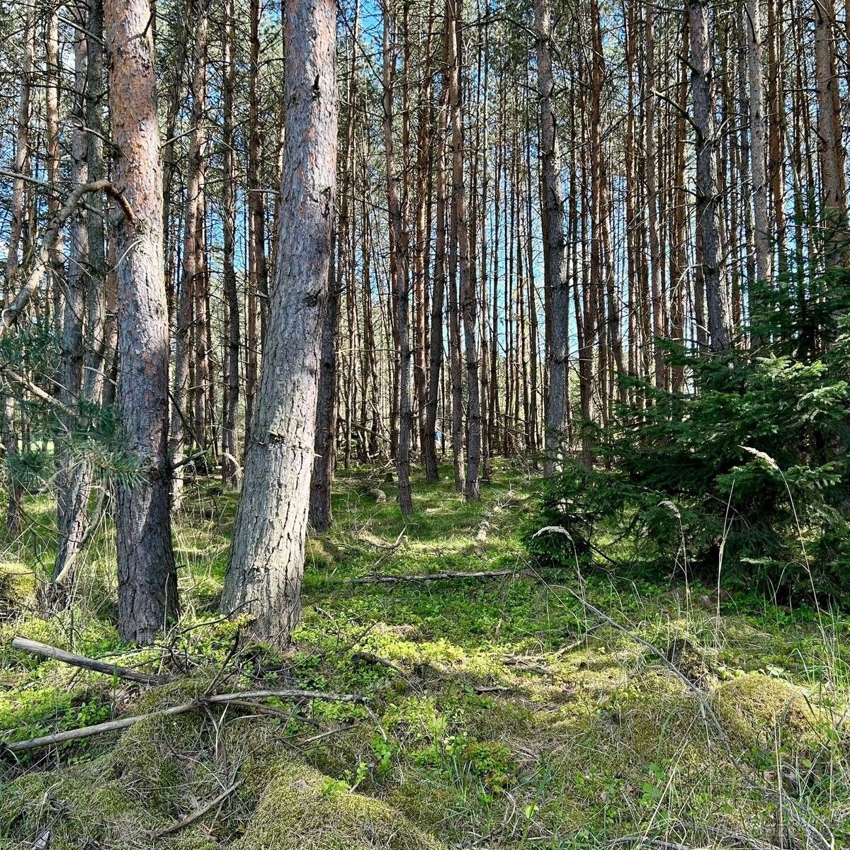 Pozemek pro bydlení · Rokycany, 337 01 - 3