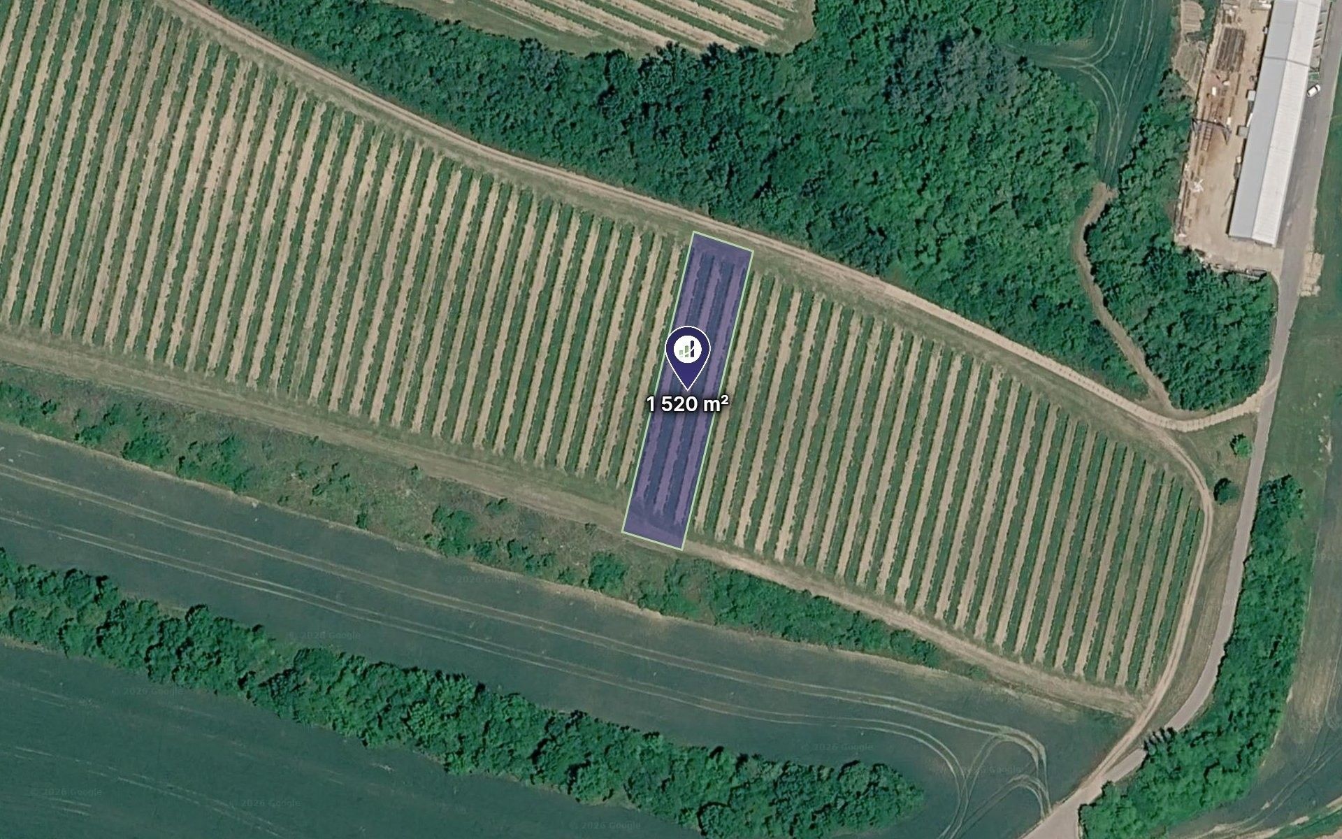 Ostatní, Bulhary, 1 520 m² - 1