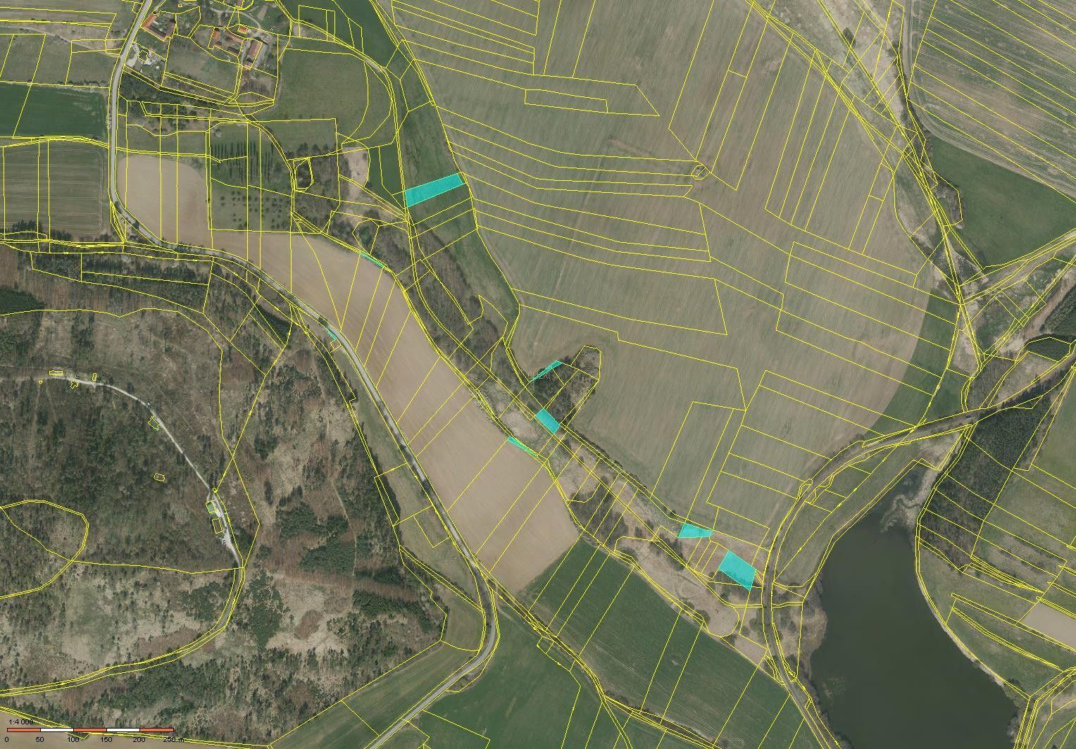 Zemědělské pozemky, Domanice, Radomyšl, 6 997 m² - 2
