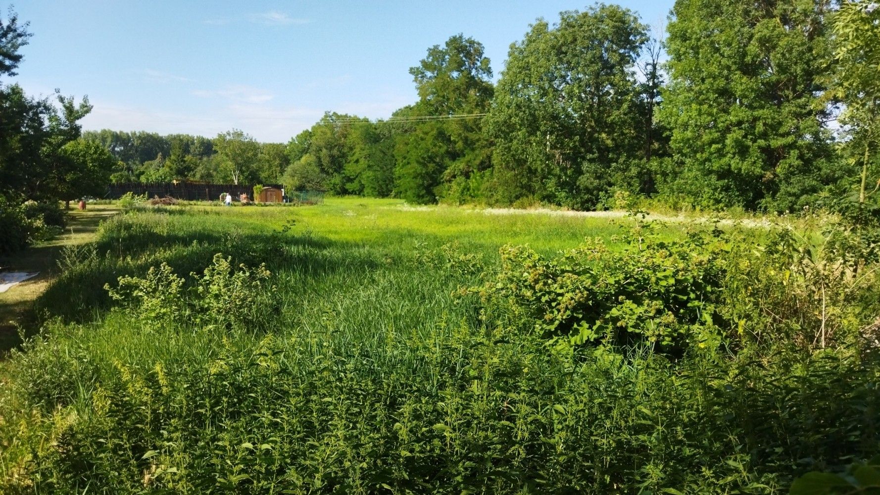 Prodej zahrada - Oblekovice, Znojmo, 5 063 m²