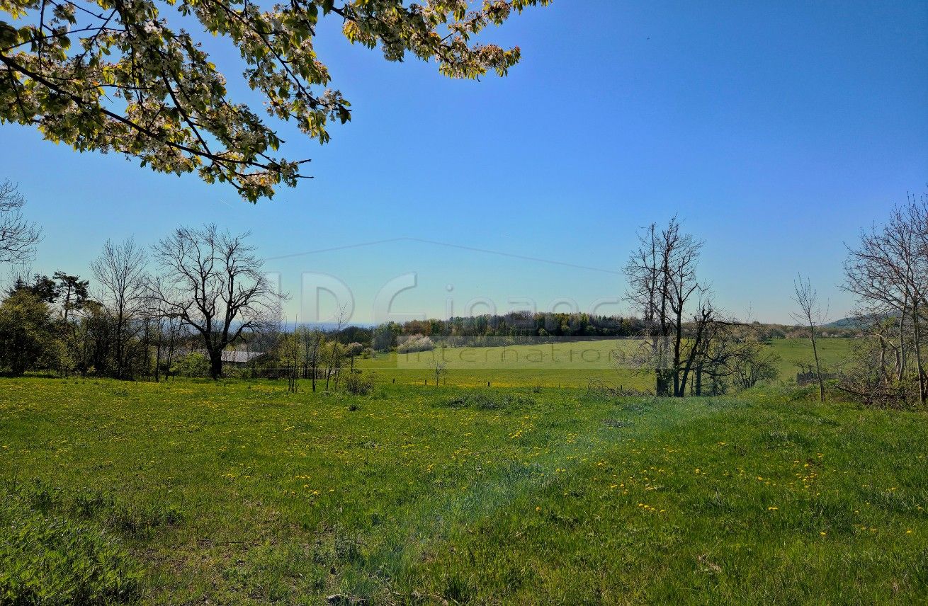 Pozemek pro bydlení · 3 539 m² · Lovečkovice - 3