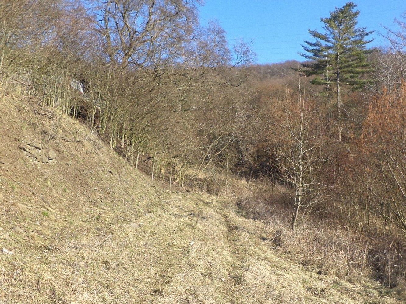 Zahrada · Trmice, okres Ústí nad Labem, Ústecký kraj - 3