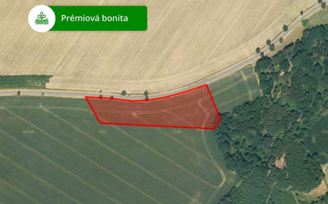 Zemědělské pozemky, Javorník, 5 434 m²