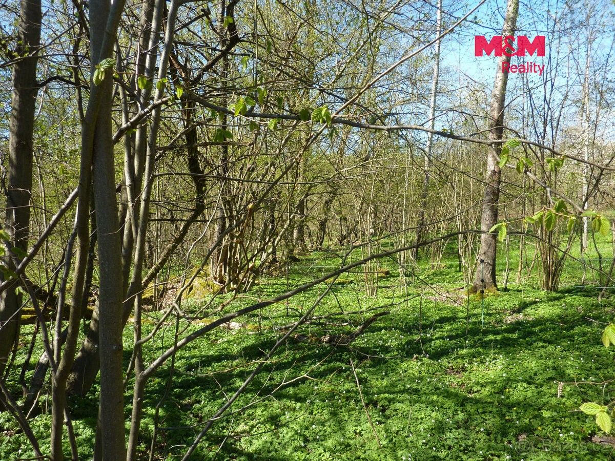 Prodej pozemek pro bydlení - Hořičky, 552 05 - 2