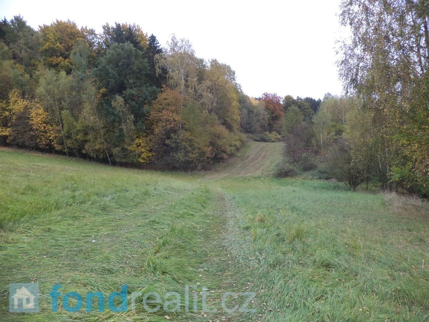 Komerční pozemek · 4 068 m² · Vidochov - 4