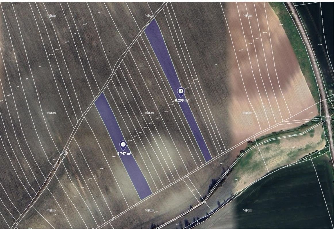 Prodej zemědělský pozemek - Černčice, 16 000 m²
