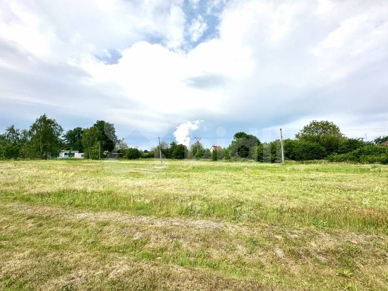 Pozemky pro bydlení, Řečany nad Labem