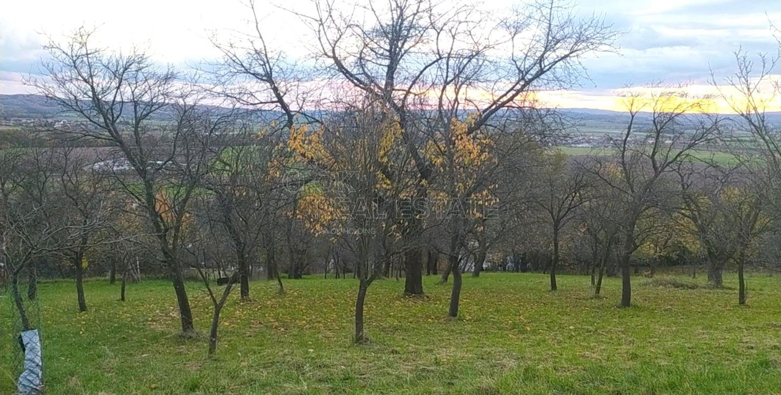 Zahrada · 3 492 m² · Přílepy - 3