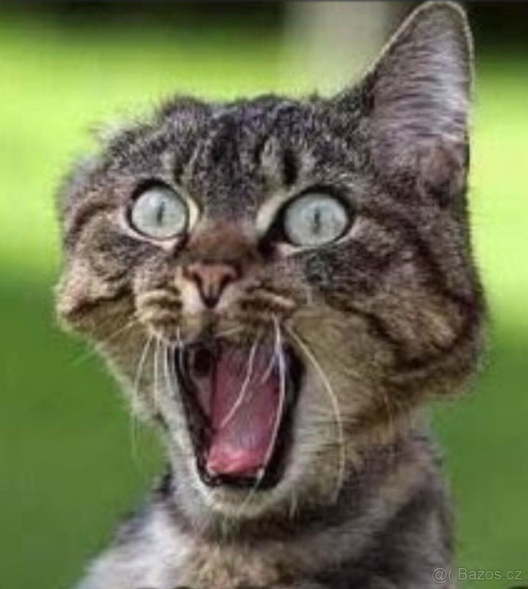 Byty, 160 05, Praha 6