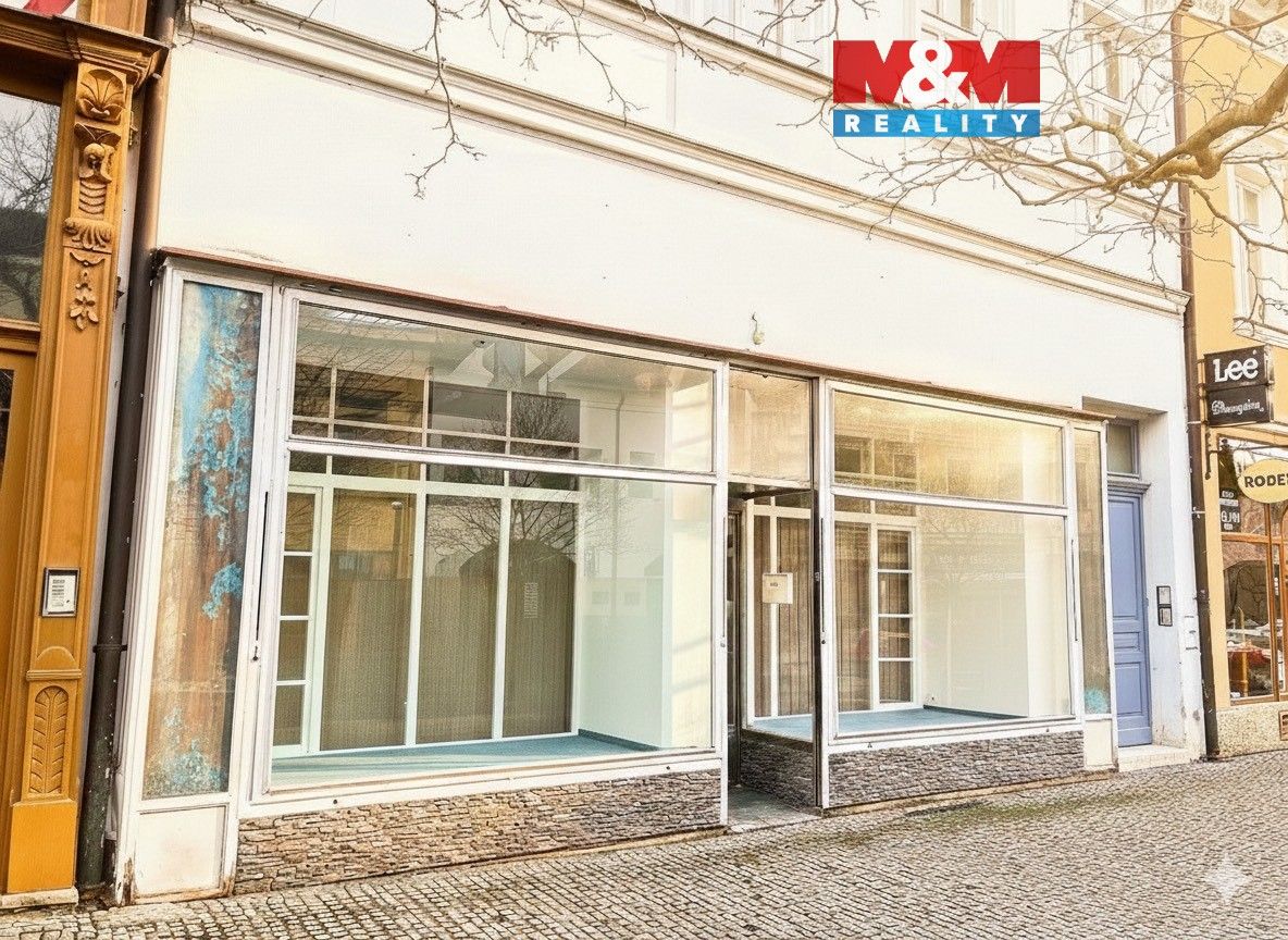 Obchodní prostory, Mladá Boleslav, 293 01