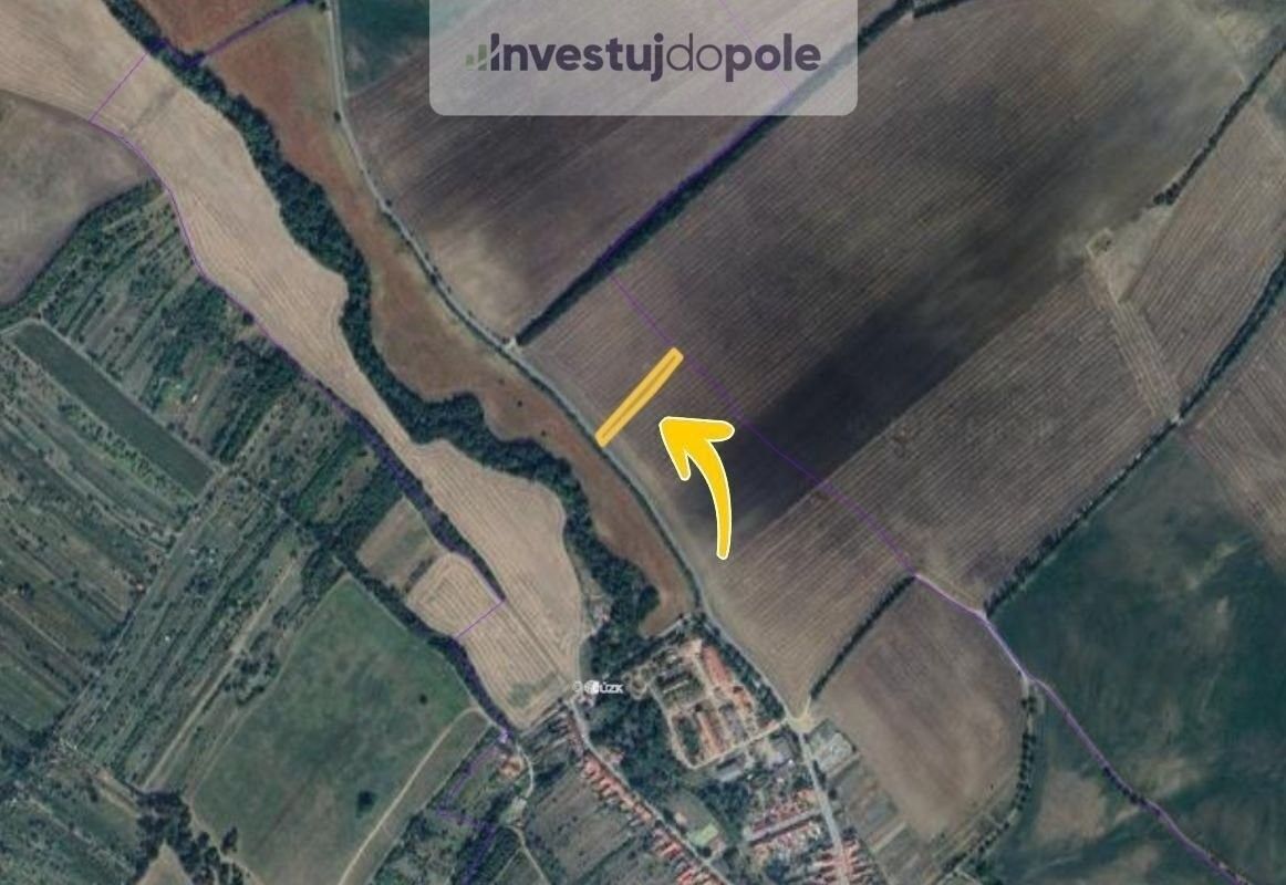 Pronájem zemědělský pozemek - Radějov, 1 220 m²