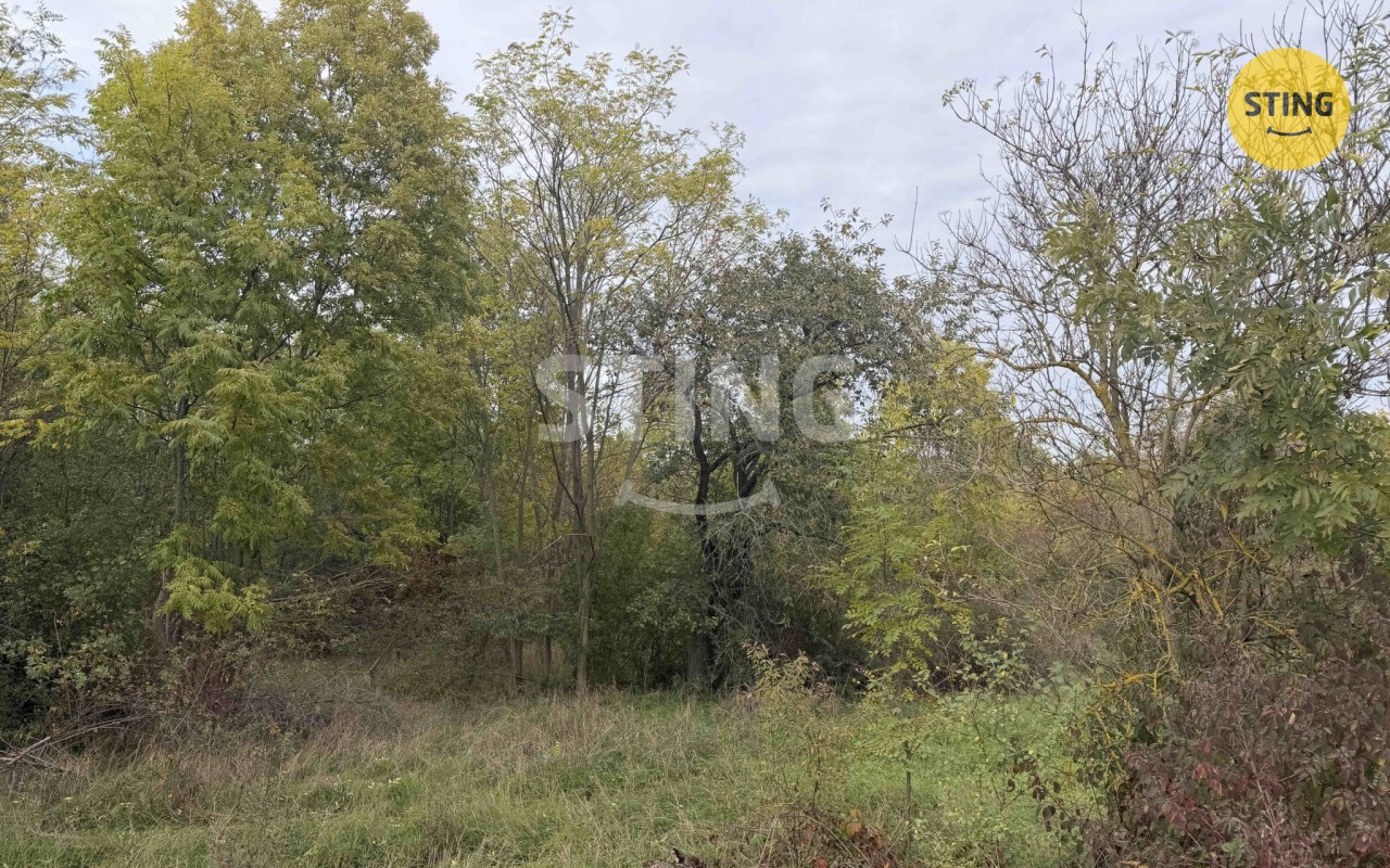 Pozemek · 10 074 m² · Kleneč - 2