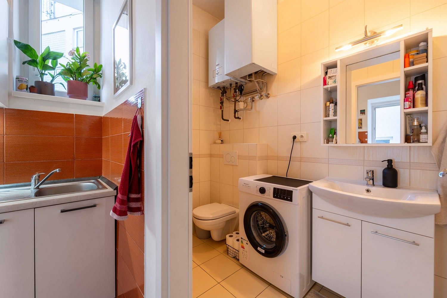 Pronájem byt 1+1 - Palackého, Olomouc - Nová Ulice, 35 m² - 5