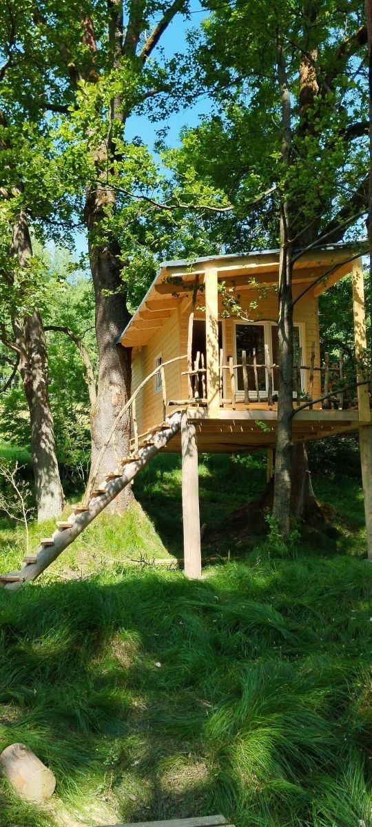 Chata · Mikulášovice - Mikulášovice, Ústecký kraj - 3