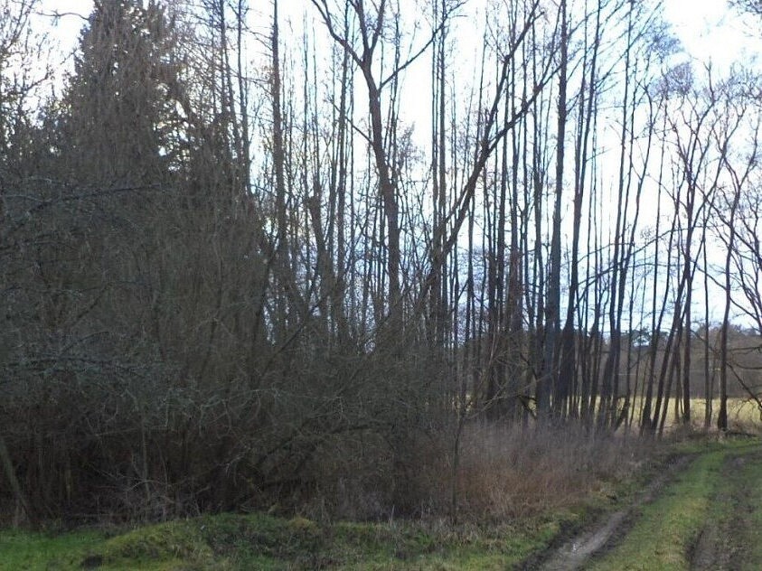 Louka · Kočov - 4