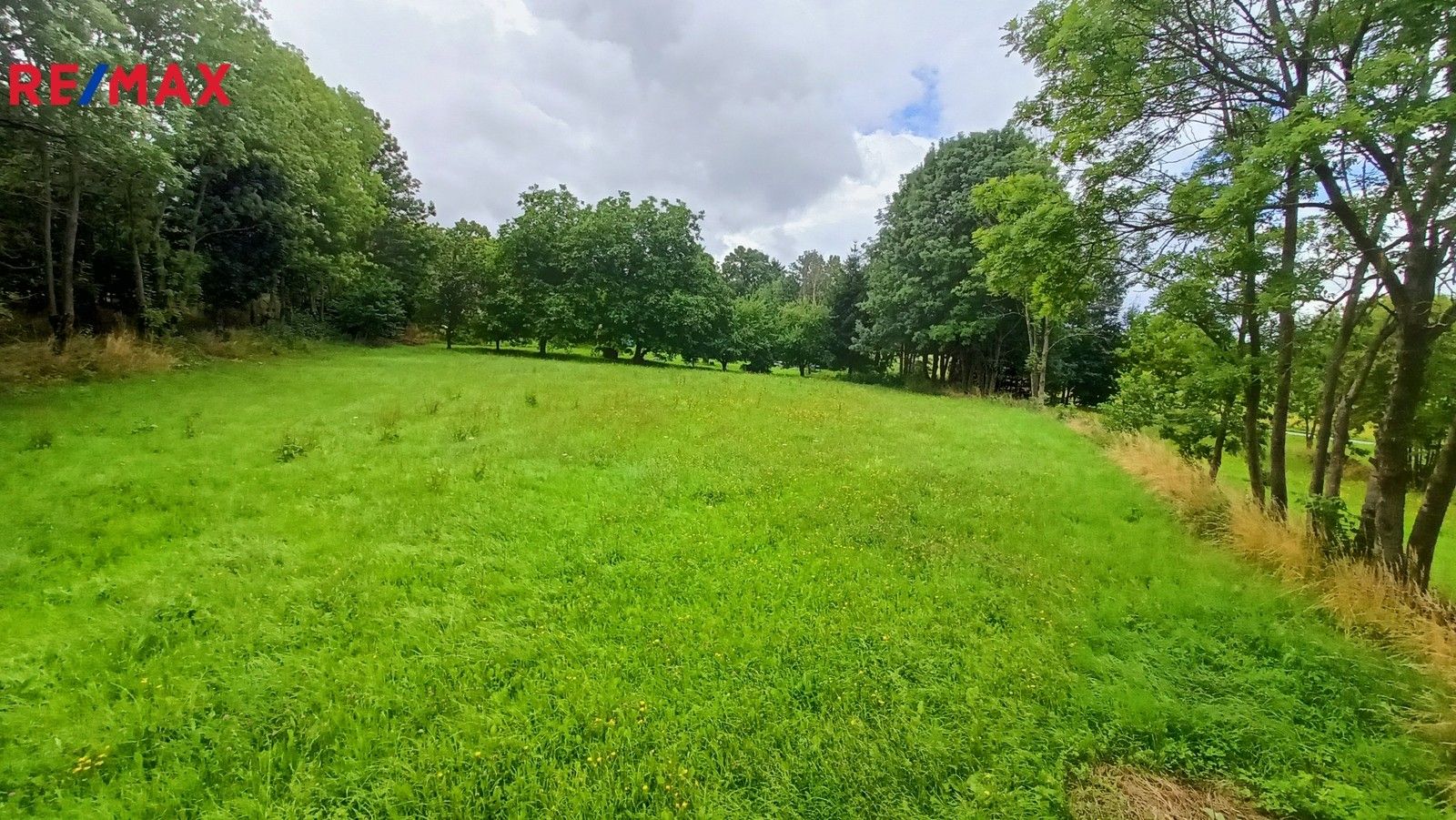 Pozemky pro bydlení, Borotín, 1 m²