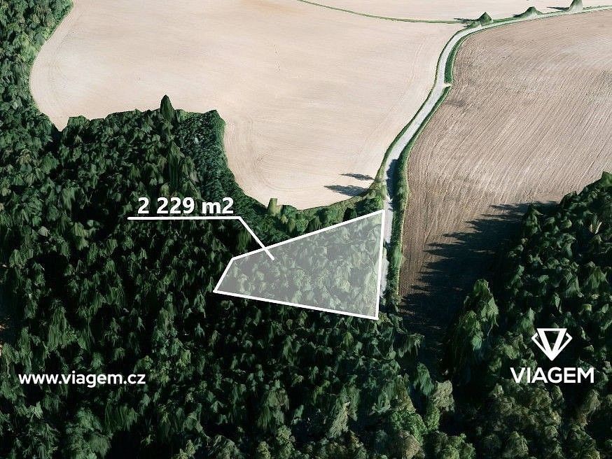 Lesy, Manětín, okres Plzeň-sever, Plzeňský kraj - 1